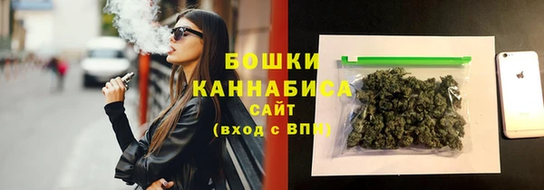 ECSTASY Бикин