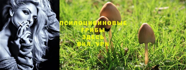 сатива Кодинск
