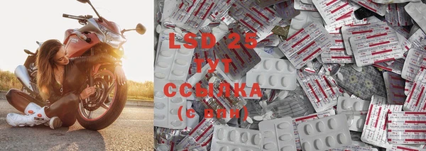ECSTASY Костерёво