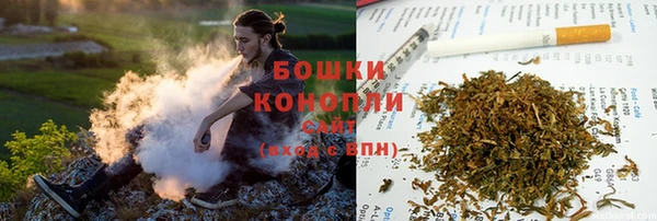ECSTASY Костерёво