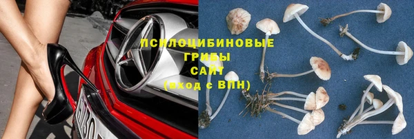 сатива Кодинск