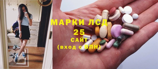 ECSTASY Костерёво